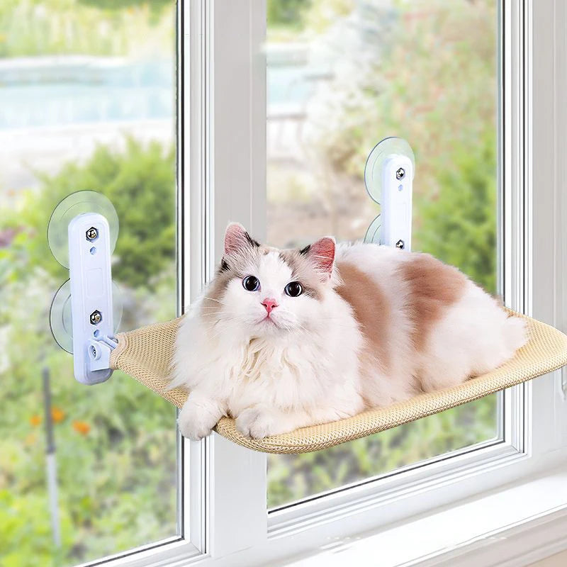 Cat hammock super suction cup swing sun can be