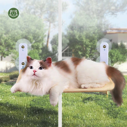 Cat hammock super suction cup swing sun can be