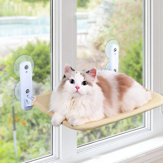Cat hammock super suction cup swing sun can be